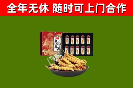 黑山县回收冬虫夏草价格